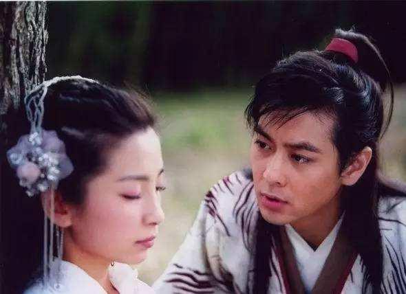 林志颖拍的电视剧大全集(不老男神林志颖的20部影视剧)(12)