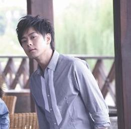 林志颖拍的电视剧大全集(不老男神林志颖的20部影视剧)(15)