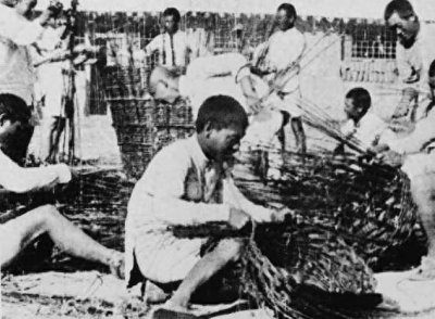 ​朱众超：南泥湾大生产运动亲历记