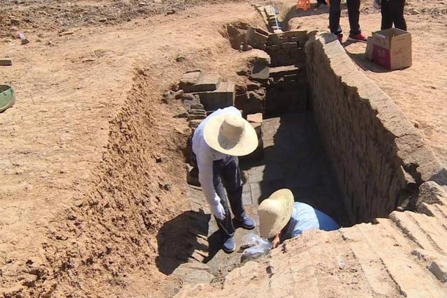 农村有种“棺材菌”，不少人坚信它能治百病，真有这么神奇？