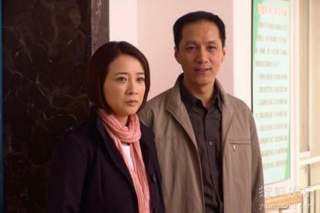 陈小艺都有哪些电视连续剧（用细腻的演技征服观众）(4)