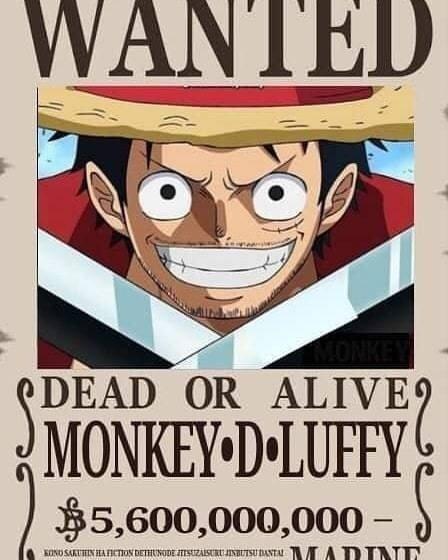 海贼王路飞十档形态（海迷自制草帽一伙最终赏金令）(1)