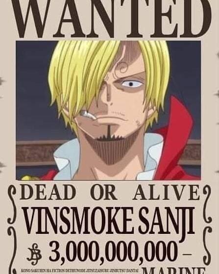 海贼王路飞十档形态（海迷自制草帽一伙最终赏金令）(2)