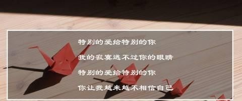 伍思凯特别的爱给特别的你原唱(伍思凯特别的爱给特别的你演唱会) 伍思凯 第3张