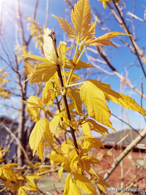秦皇岛北戴河网红打卡地鸽子窝公园