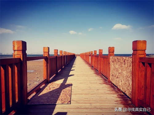 秦皇岛北戴河网红打卡地鸽子窝公园