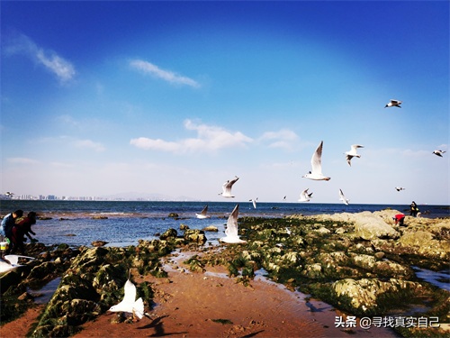 秦皇岛北戴河网红打卡地鸽子窝公园