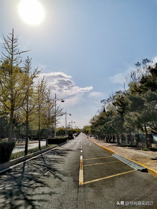 秦皇岛北戴河网红打卡地鸽子窝公园