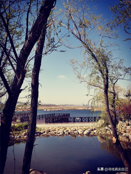 秦皇岛北戴河网红打卡地鸽子窝公园