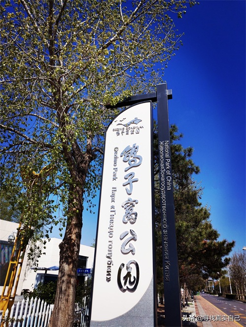 秦皇岛北戴河网红打卡地鸽子窝公园