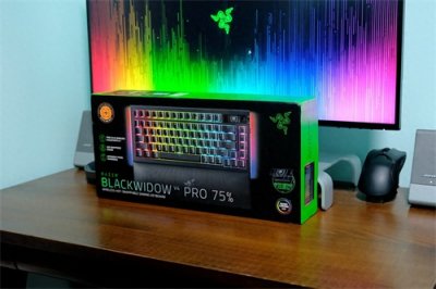 ​雷蛇旗舰级客制化“蛛皇”终于来了,黑寡妇蜘蛛V4无线专业版 体验