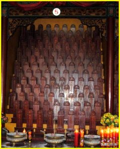 ​1230个姓氏！为何大槐树会迁移出这么多姓氏的人？