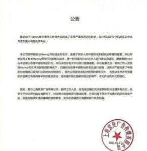 ​揭秘Hamzy个人背景及与公司解约的真相