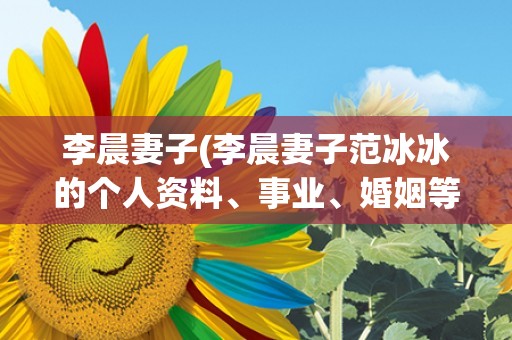 李晨妻子(李晨妻子范冰冰的个人资料、事业、婚姻等详细介绍)