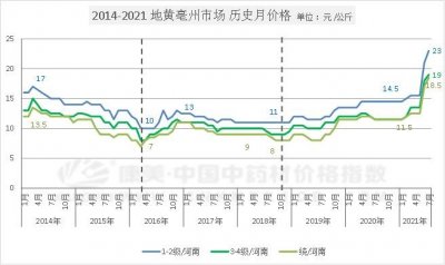 ​减产又遇热点，地黄今年行情火热