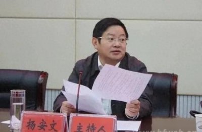 ​西藏自然资源厅长杨安文转任武汉，地质事业迎新契机！