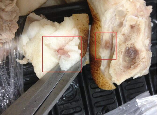 猪肉绦虫能高温多少度能杀死 猪肉绦虫是怎么感染上的