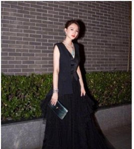​李小冉最新写真曝光，身着优雅礼服，曲线优美，成为时尚界的焦点