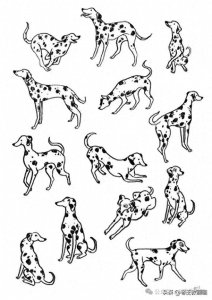 ​1000个动物简笔画线稿，够你画10年了！