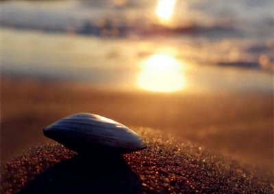 ​短线炒股准确率较高的技术形态之一：射击之星，竟然很少人知道！