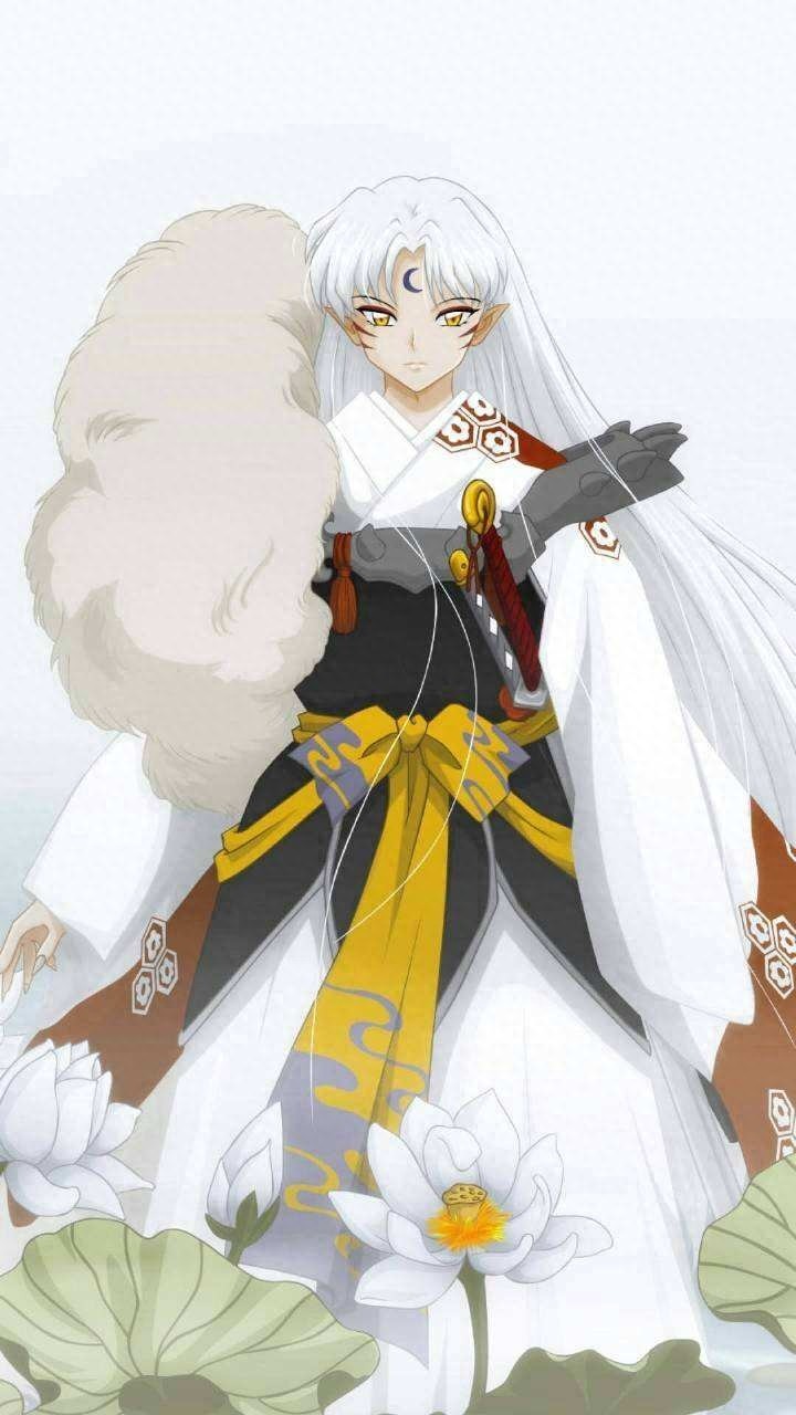 收藏的杀生丸美图,和大家分享一下