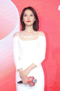 ​高圆圆简历个人资料简介，高圆圆的个人资料简介