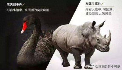 ​2024年，有哪些可能的黑天鹅事件或灰犀牛风险，值得警惕和重视？