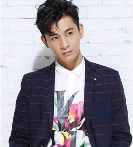 ​广西人才多不多，那些从广西走出的明星，都有哪些人？