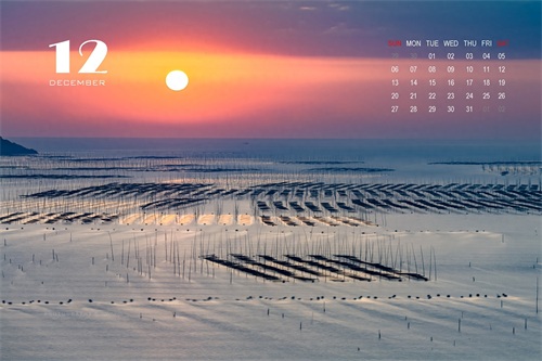 12张精美图片带您回忆2019，迎接2020，拿走不谢