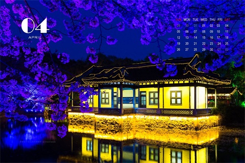 12张精美图片带您回忆2019，迎接2020，拿走不谢