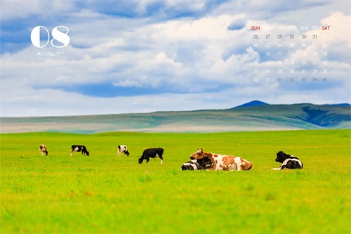 12张精美图片带您回忆2019，迎接2020，拿走不谢