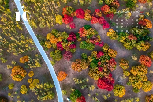 12张精美图片带您回忆2019，迎接2020，拿走不谢