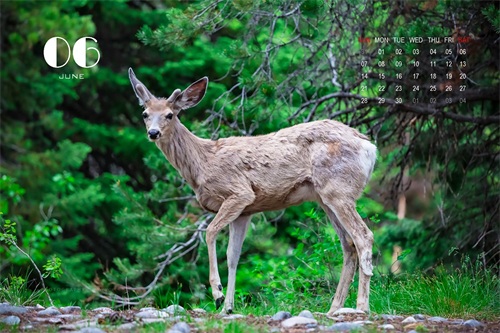 12张精美图片带您回忆2019，迎接2020，拿走不谢