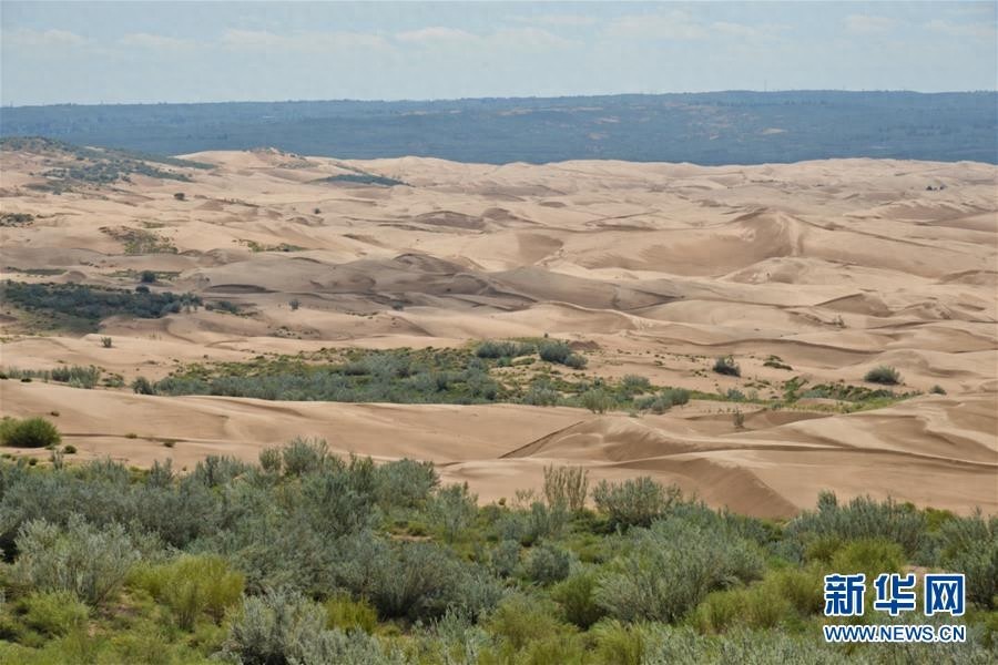库布其竞相演绎“点沙成金”传奇