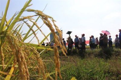 ​农业农村局有前途吗？“三农工作”一直是重中之重，前途无量