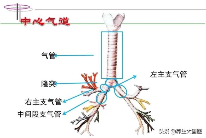 心里有股气堵着怎么办(像有东西堵在气管)