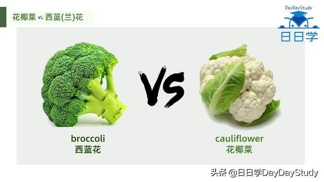 空心菜翻译（为什么英文空心菜）(3)